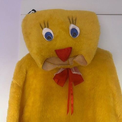 Carnival costume used, size Large
