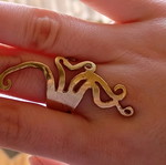 Ring new with unique shape and adjustable brass