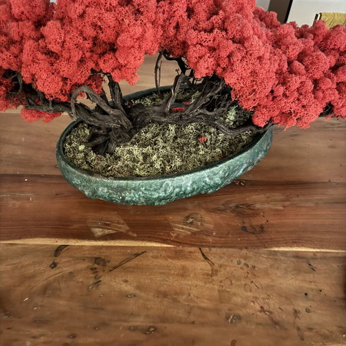 Bonzai handmade new