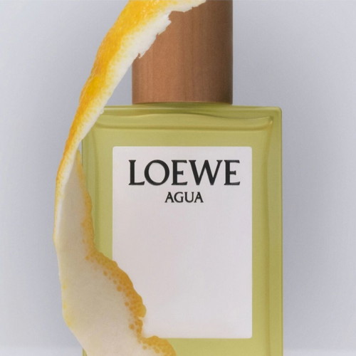 Loewe Agua Eau de Toilette Tester 100ml new, authentic