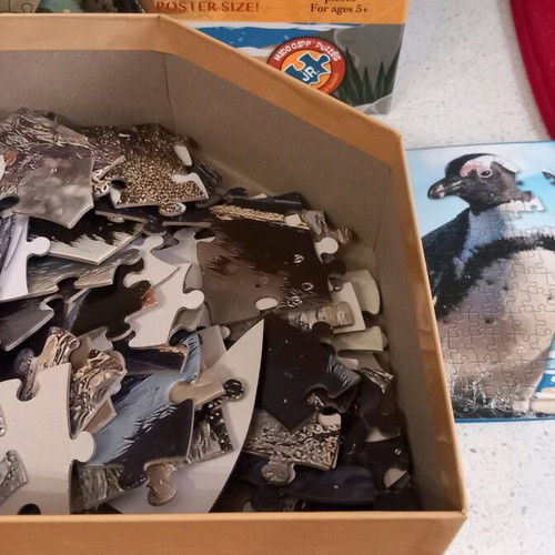 Puzzle 100 pieces Penguin new