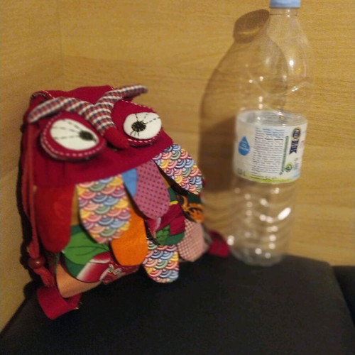 Owl fabric backpack used