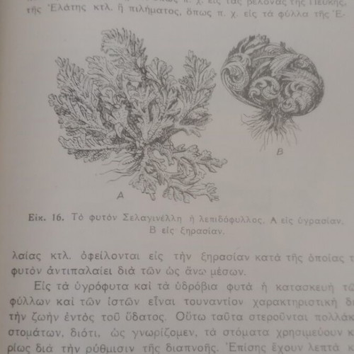 Stoicheia Genikis Viologias textbook used, 1940 OESV edition