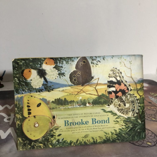 Brooke Bond Album and Cards used, complete British Butterflies set of 50