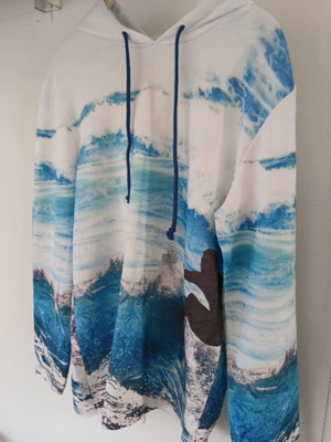 Statement hoodie unisex like new, medium, colorful sea landscape