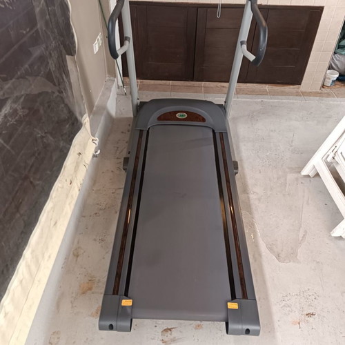 Horizon Paragon treadmill used with shock-absorbing deck