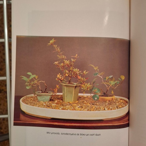 The Art of Bonsai by Andrea Marenzio book