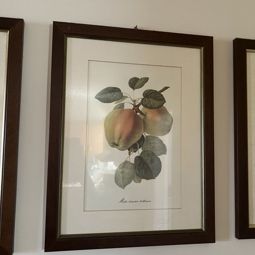 Wooden frames used, set of 3