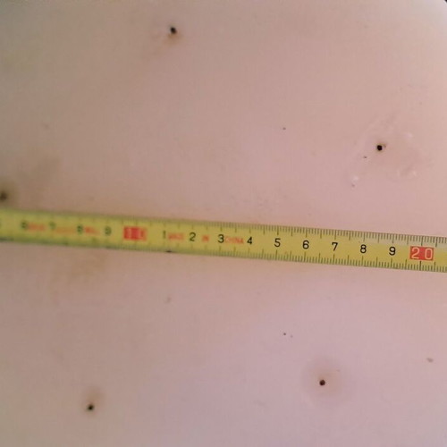 Candle log with 5 wicks used, 24x10cm
