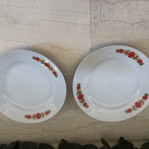 Vintage dinner plates with floral pattern, set of 2, 24 cm