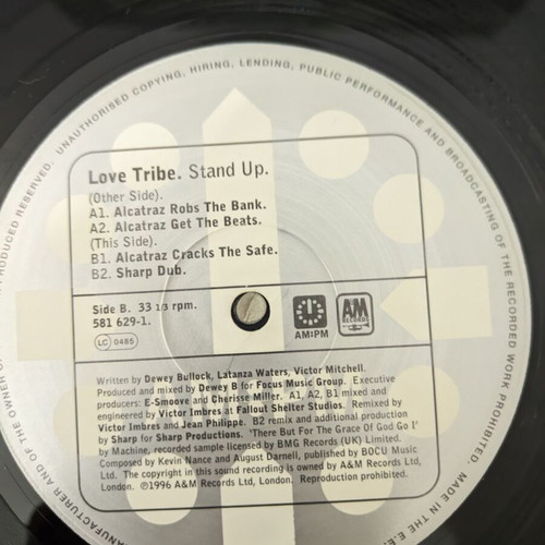 Love Tribe Stand Up 12" vinyl record, electronic