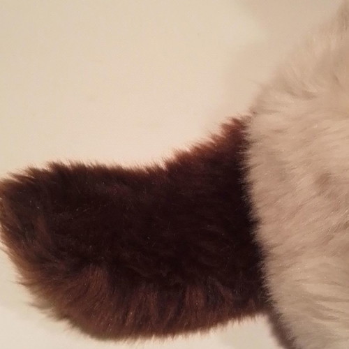 Grumpy Cat GUND plush cat used