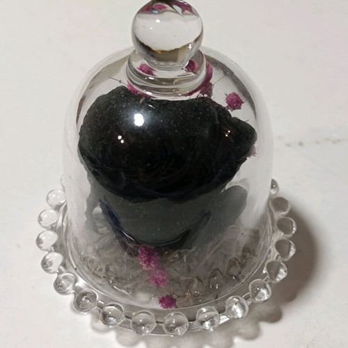 Bulb incubator new