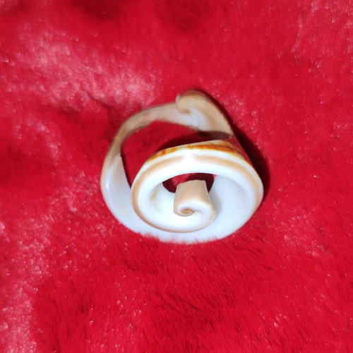 Shell ring used, unique design