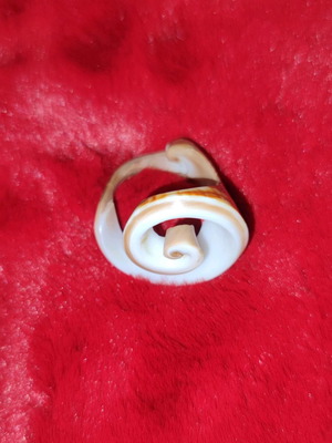 Shell ring used, unique design