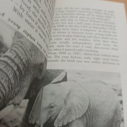 Among the Elephants book like new, English learning, Collins English Library