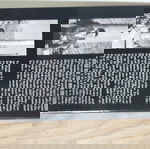  Βιβλίο : Ezra Pound in Italy