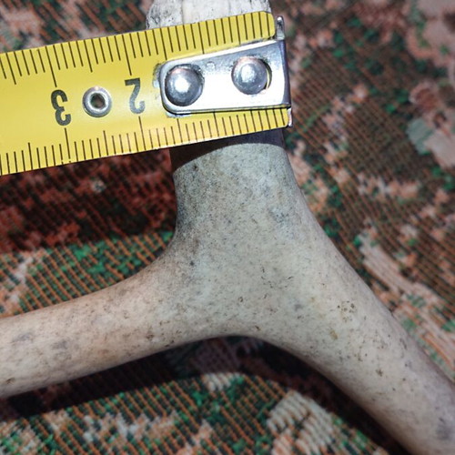 Northern deer antler like new, size as shown