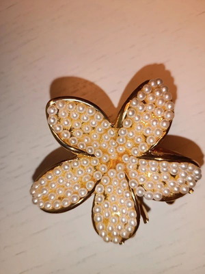 Hair Clip with Pearls new