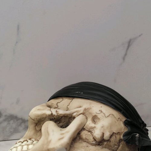 Pirate Skull Coin Bank used
