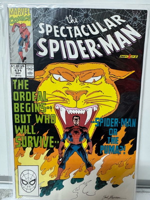 Marvel Comics Peter Parker The Spectacular Spider-Man Issue 171 like new