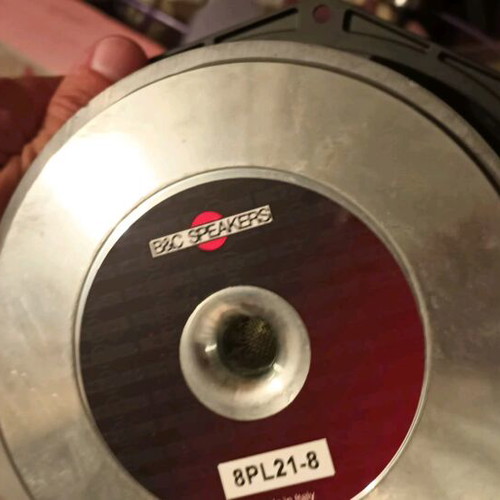 B&C 8PL21-8 Professional Speakers like new, set of 2