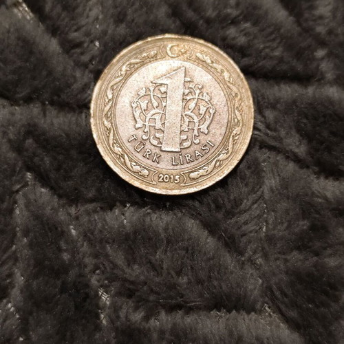 Turkish lira coin used