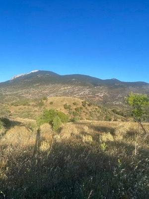 Αγροτεμάχιο 338 τ.μ. με πανοραμική θέα κοντά στην Αράχωβα