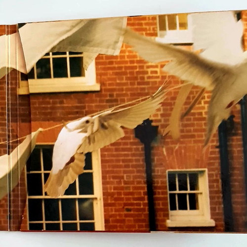 Kate Bush Aerial CD like new
