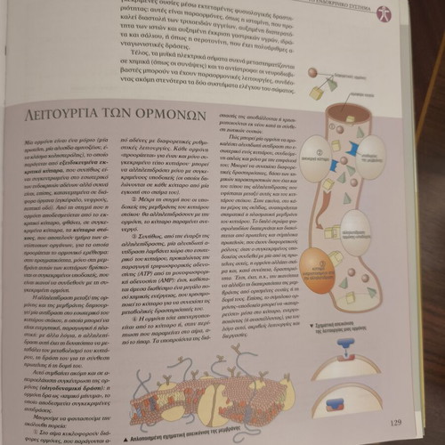 Anatomy book like new, atlas with over 600 color images