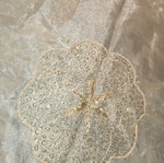 Tablecloth used, gold organza silk from India hand embroidered