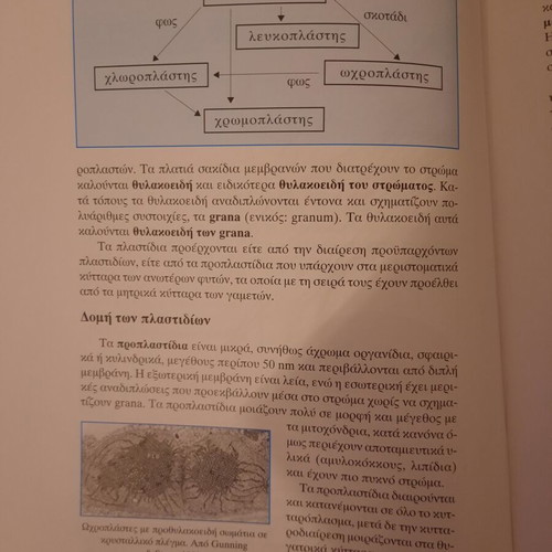 Plant Morphology Part I, University of Patras Publications