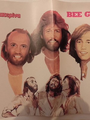 Sofia Aliberti & Bee Gees poster like new, double-sided