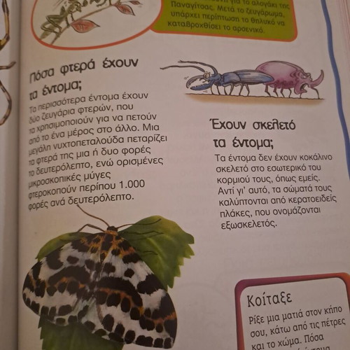 Book The First Book of Questions and Answers like new