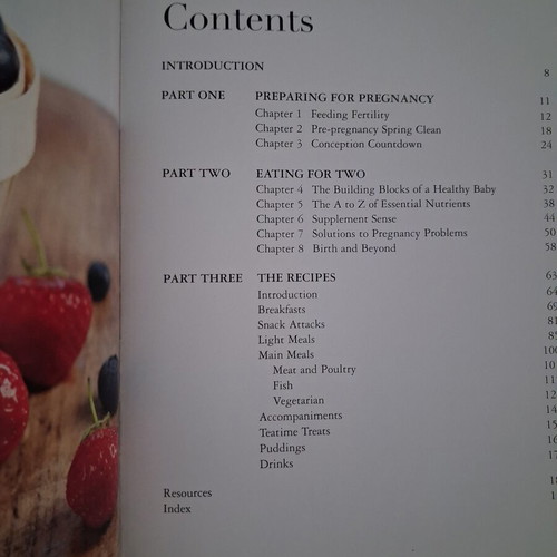 The Perfect Pregnancy Cookbook like new, English