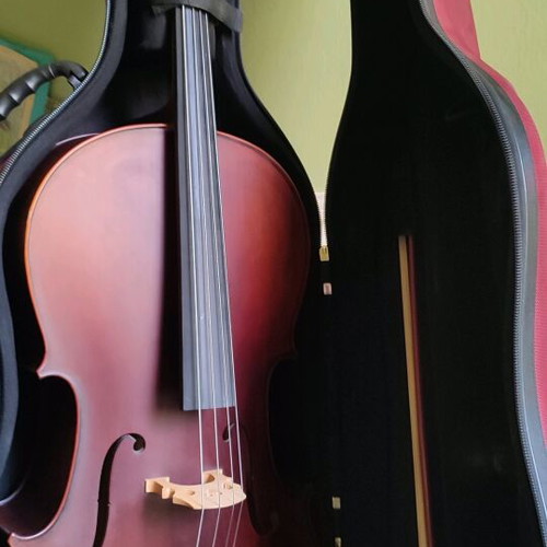 Cello 4/4 CM130 f.ziegler like new with case