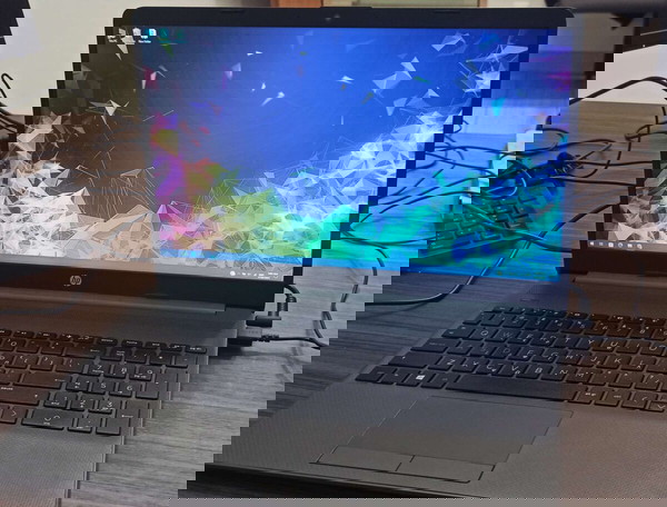 HP 255 G8 Notebook PC
