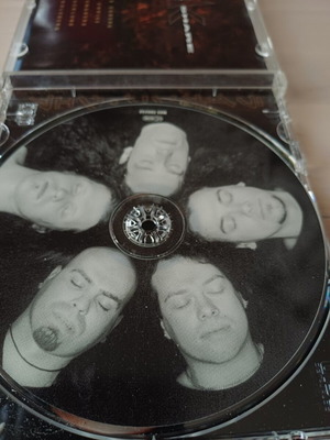 Lions Share Fall from Grace CD, metal