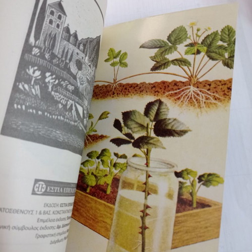 Alphabetari tis giatreias book used, based on pharmaceutical notebooks
