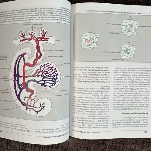 Embryology Roxani Angelopoulou like new