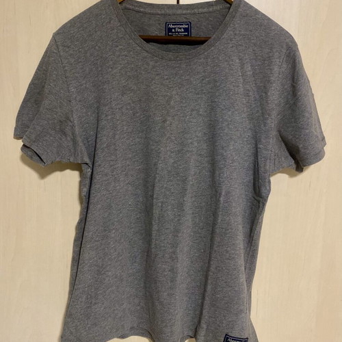 Abercrombie & Fitch T shirt new, cotton, gray, size M