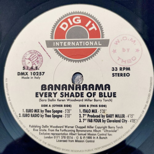 Bananarama Every Shade Of Blue 12'' Vinyl Maxi Single used, electronic