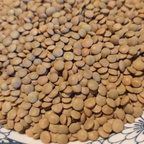 Greek lentils 2kg new from Voio Kozani