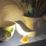 Bird lamp USB powered new