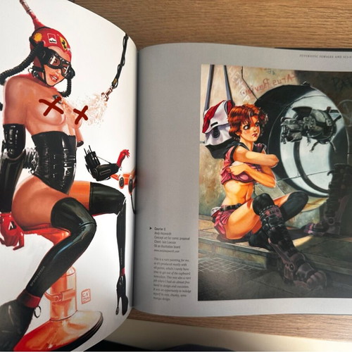 Erotic Fantasy Art art book like new