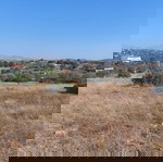 Ενοικίαση αγροτεμαχίου  Μαρκόπουλο Μεσογαίας (Θέση Γιαννιαπάς)