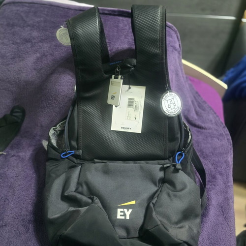 Delsey Montgallet-Argent/Silver 28L backpack new