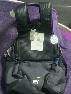 Delsey Montgallet-Argent/Silver 28L backpack new