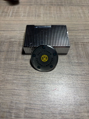 Borussia Dortmund pin new