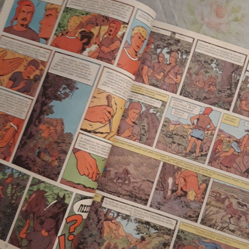 Alix 2 collectible comics used, private binding from Casterman 1965-1966